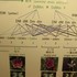 植物栽培　（その他植物）