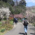 大きな植物園