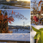 🏡２月７日・・雪解け✨🌳 🚃線路沿いにて・...