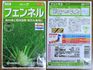 ウイキョウ（茴香）　タネから・鉢植え