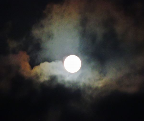 雲間の月 ハーベストムーン  2020.09.03 早朝・河口公園