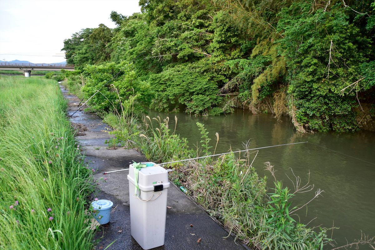 2019/05/21 ここは家から近く私のホームグランドです。あまり釣り人が見落とすような