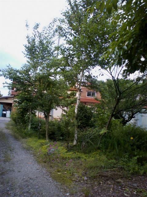 道路から玄関まで  プランターの花を置いていたのですが、球根を植えようかと 考え中