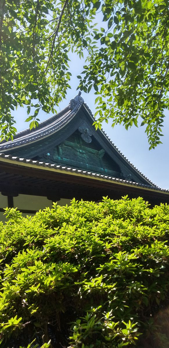 徳川家ゆかりの建中寺