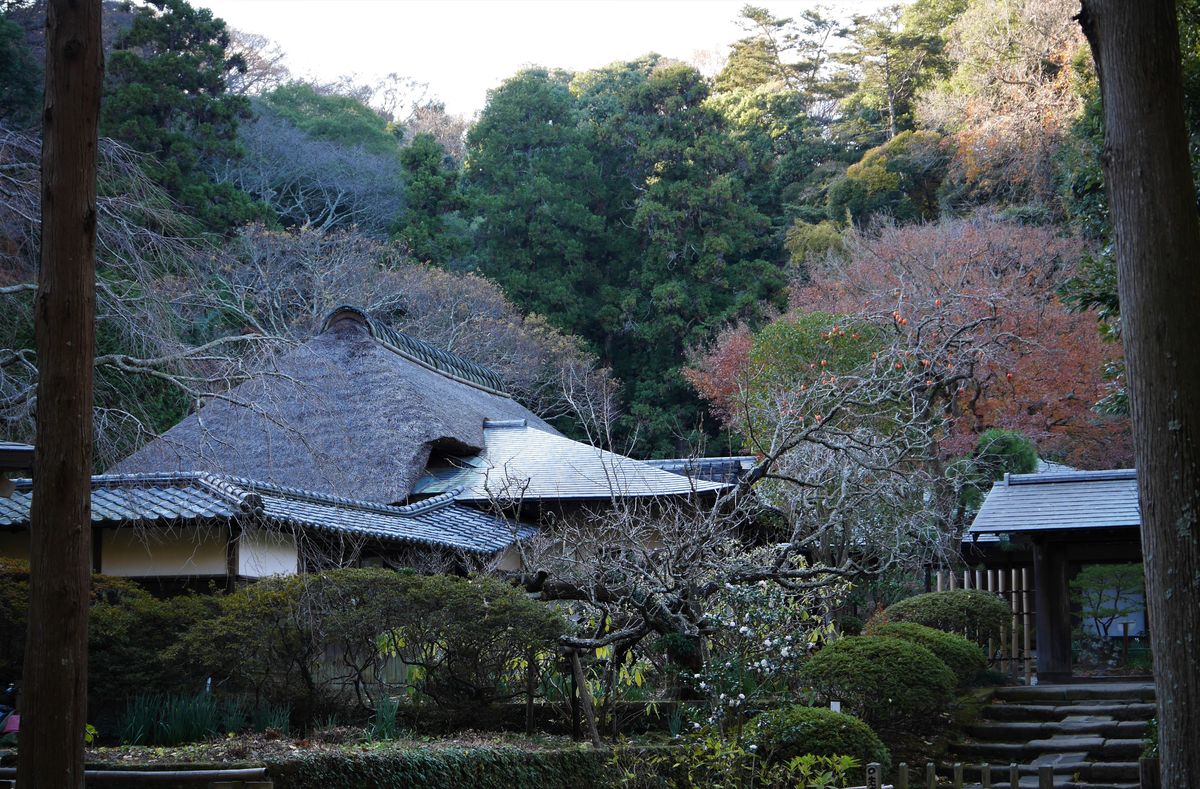 鎌倉 横浜を2日間 行き当たりばったり歩いてきました 浄智寺 12月10日