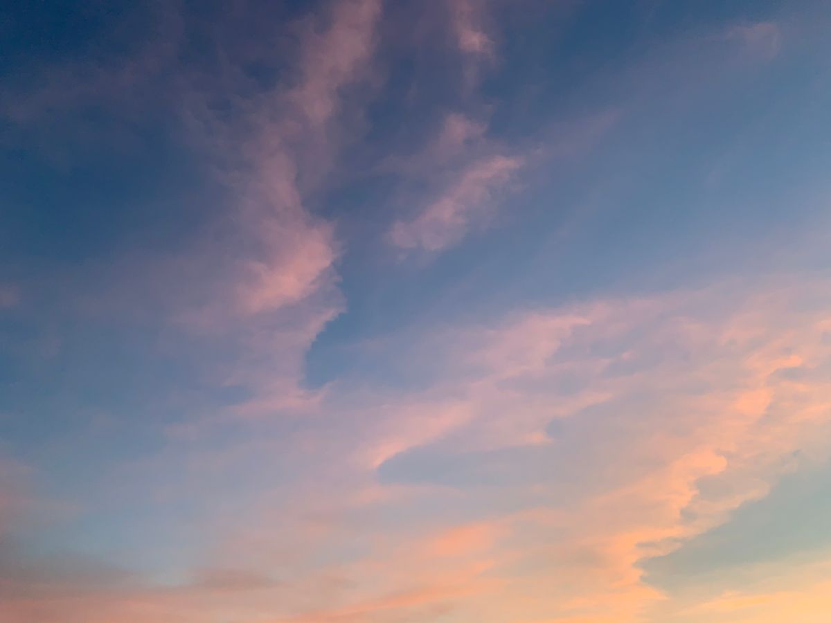 桃色  空を見上げて わたしも 桃色に染まりゆく  意気込み 新たに