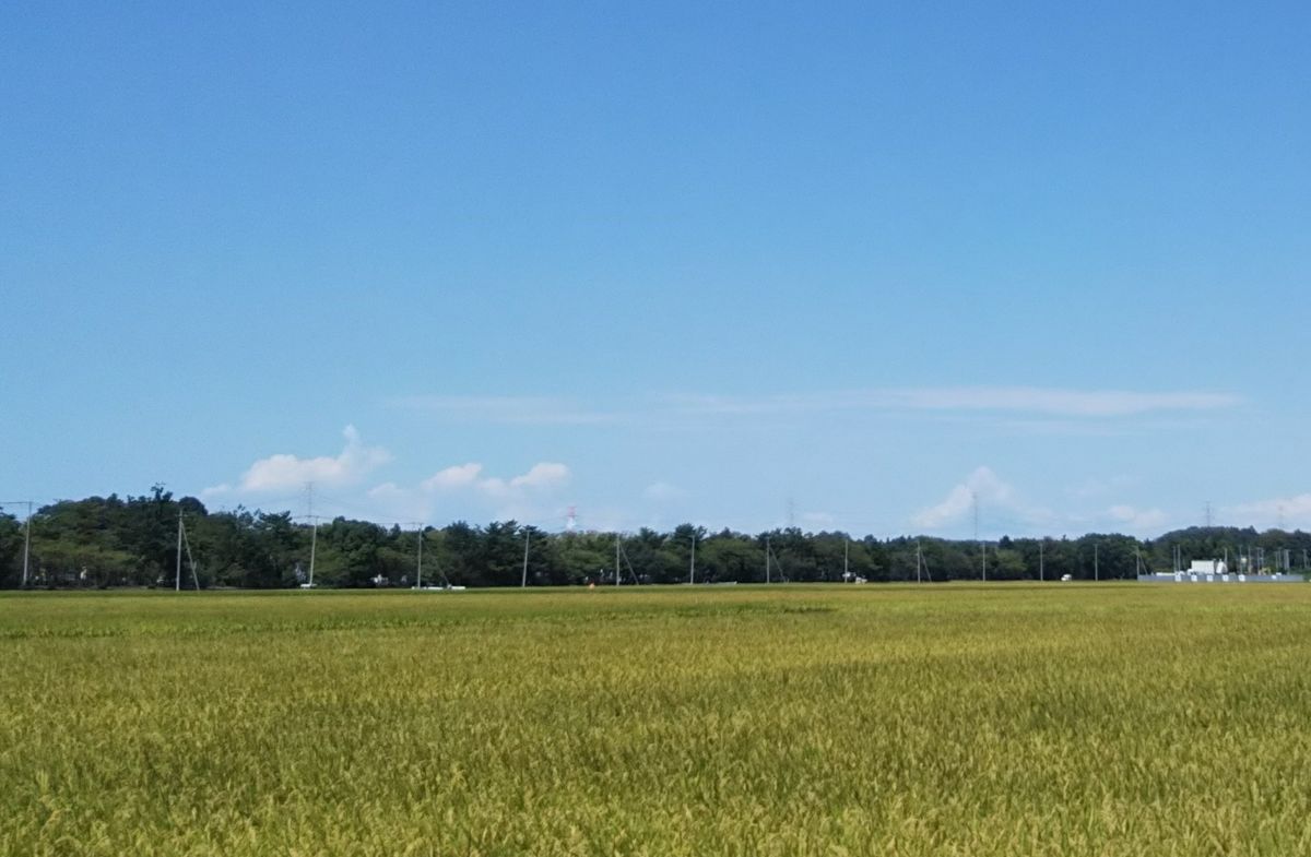 2019.9.10 am10:45 遠くの薄い雲。。ウサギとカメの競争かなー。