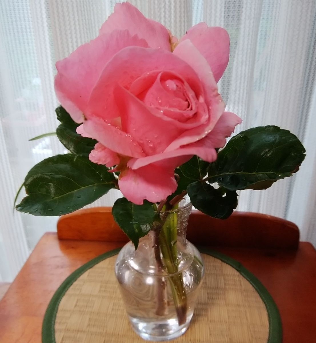 「バラ（ピンク）」📷20180508  嵐が去った後 綺麗に咲いていたので 飾ることに。