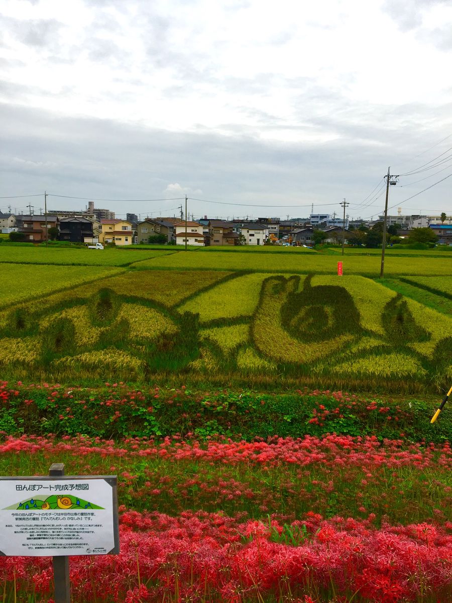 田んぼアート♪  2018 でんでん虫のかなしみ 今年の散歩は田んぼアートの所まで…