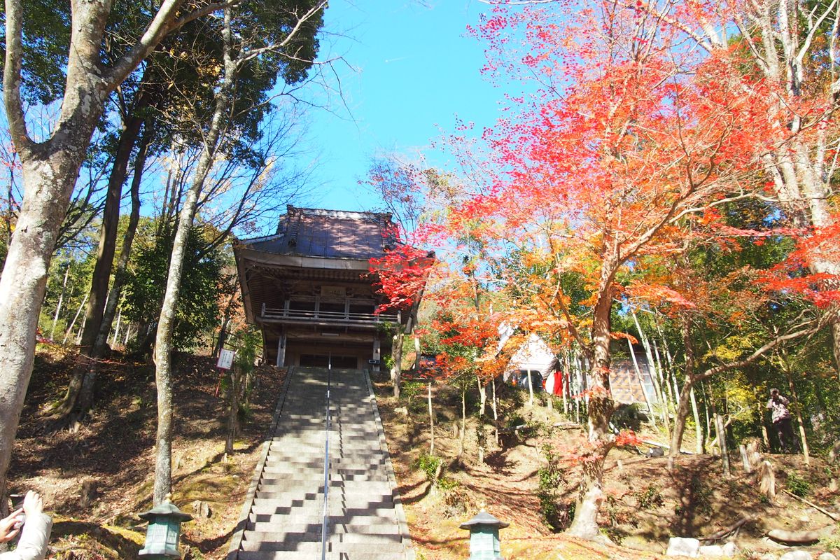 川見薬師寺の山門