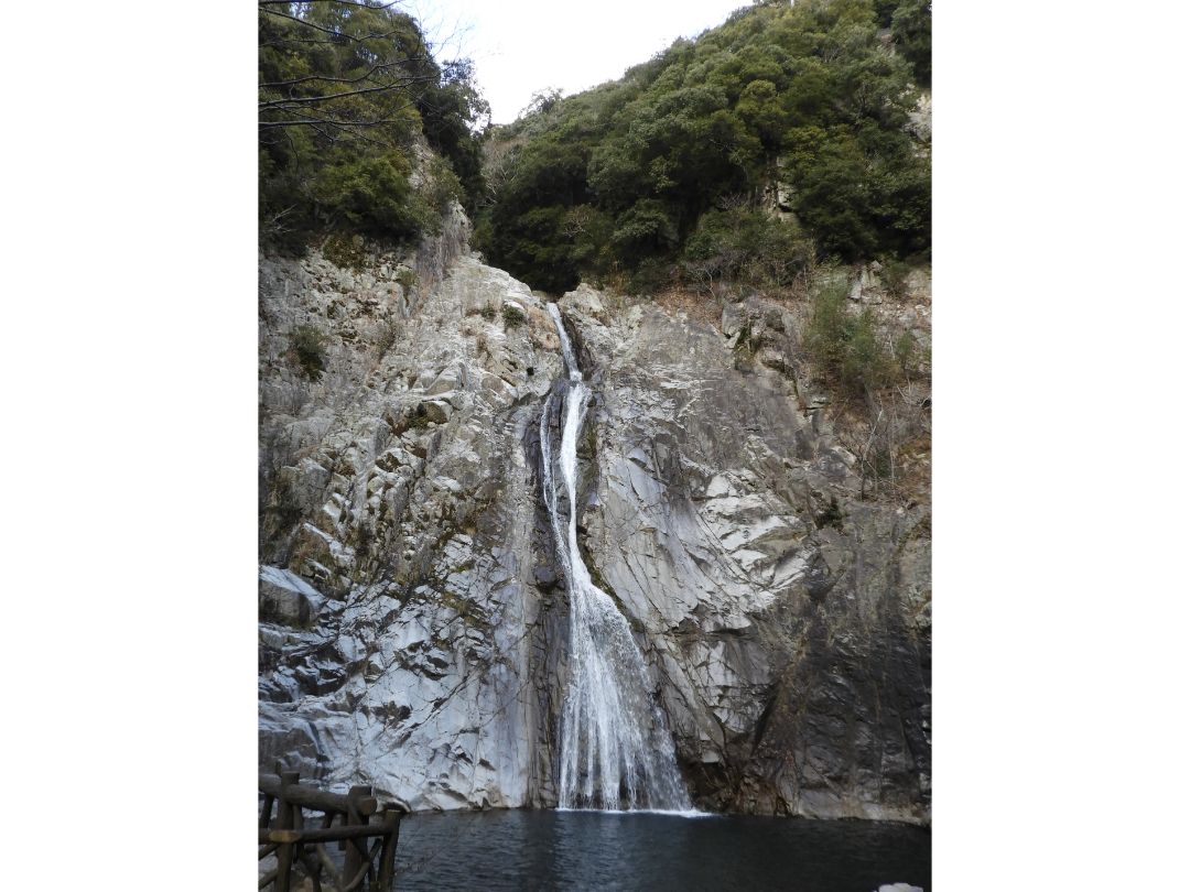 本日も鳥見へ。新神戸近くへ。写真は布引の滝