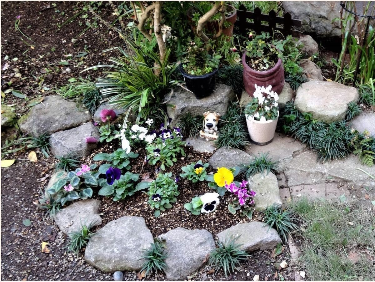 ２⃣庭先中央に昨年作った小さい花壇