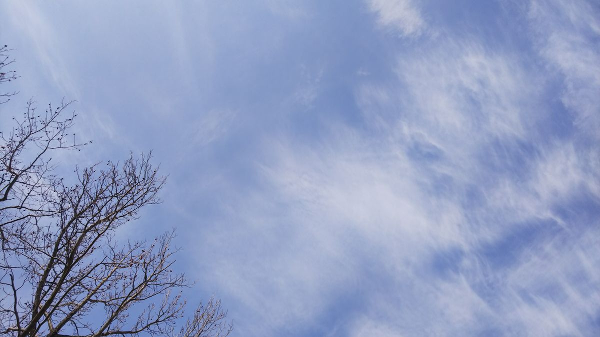 暖かくなってきたので、お空もちょっとぼんやり～な感じですね😄  私のお鼻も花粉症😷に