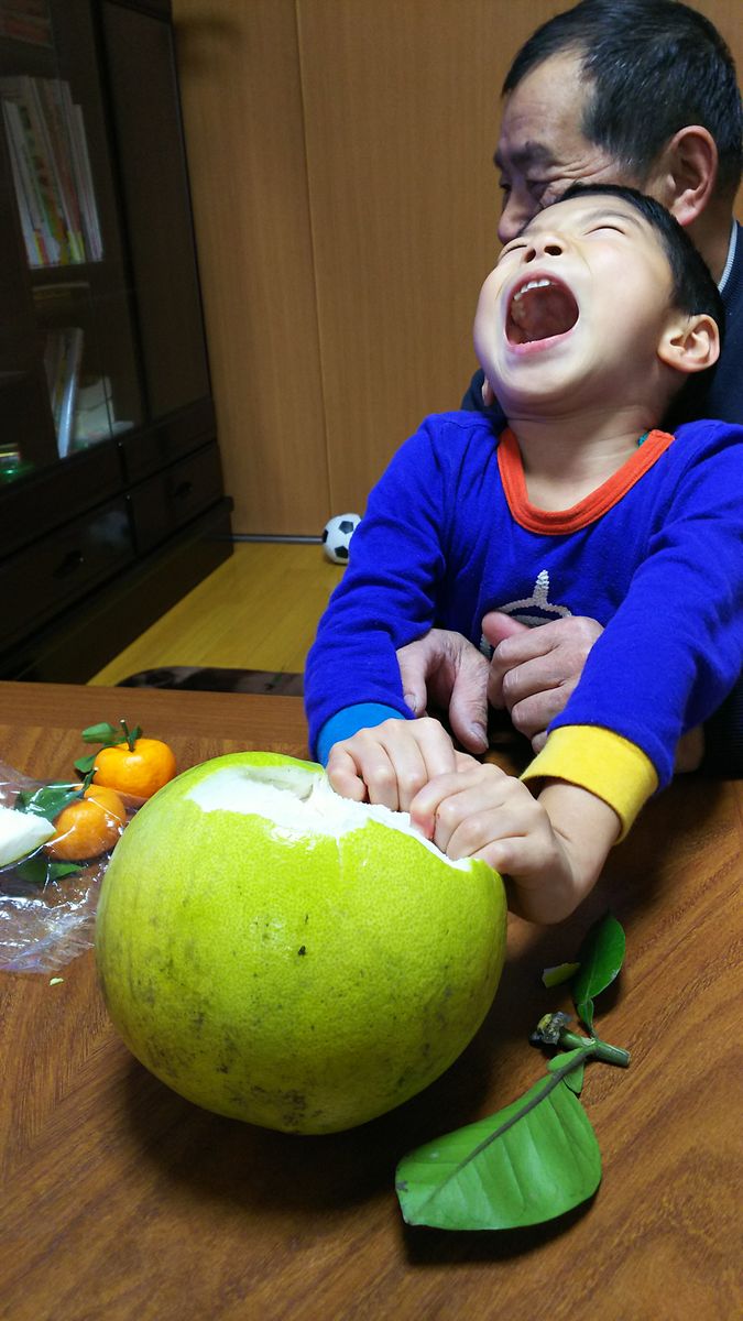 ブンタン類の写真 by ディディエリ 「晩白柚 VS 息子」  お正月に実家で開催された『