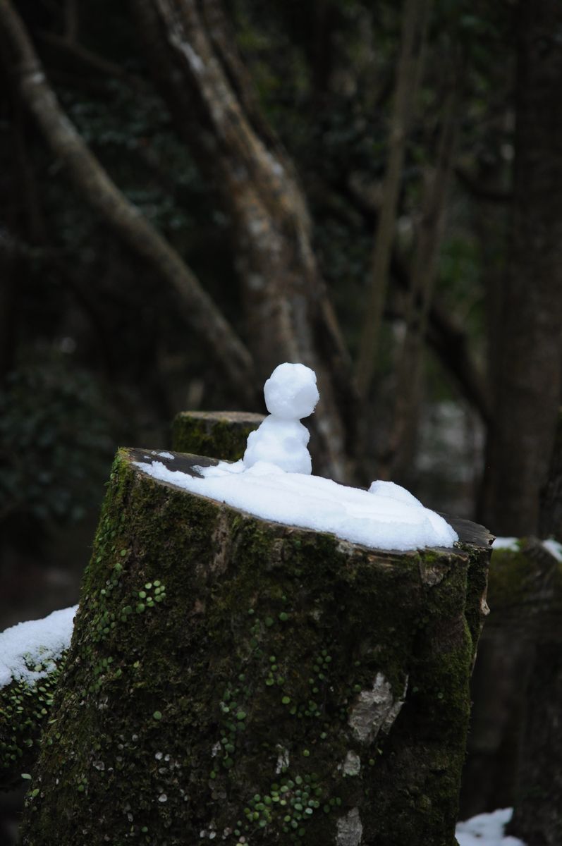 もののけ姫の木霊 みたいです。