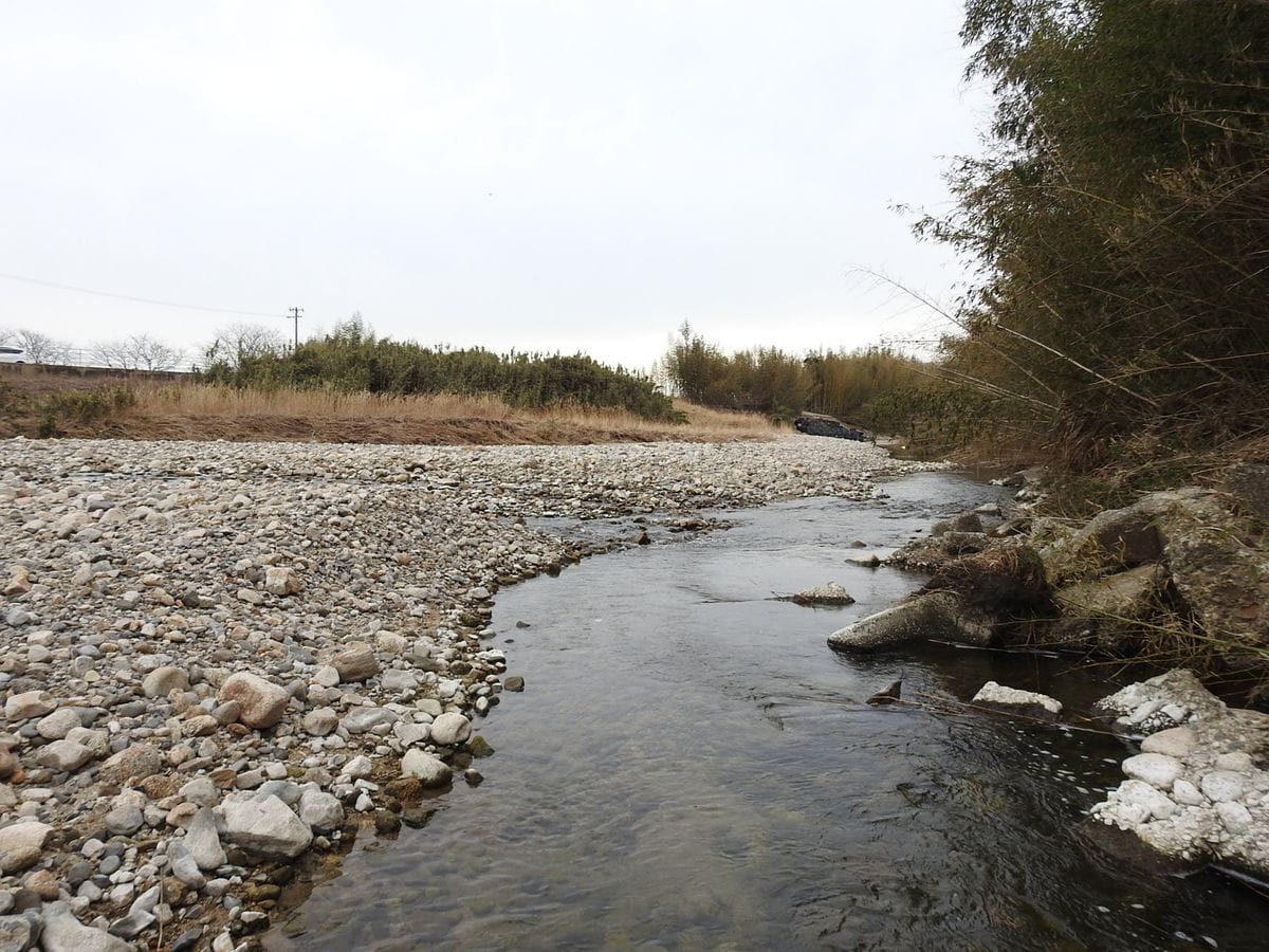 安濃川に出ました。冬は水が少ない… この辺りは中流です。  2018.1.22