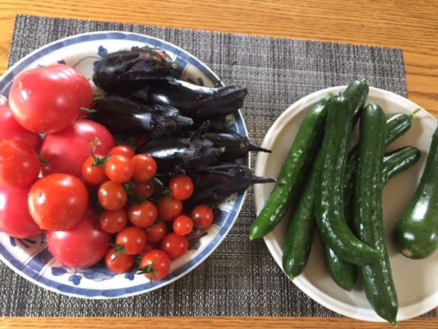 ９月１２日 今日収穫した野菜。 すっかり涼しくなってきて、野菜の成長もゆっくりにな