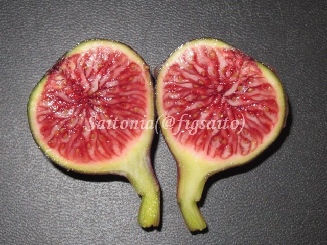 若すぎる木(Craven's Craving)に実った果実は、通常の果実より小ぶりで果皮の色も非常