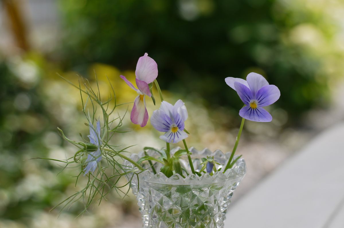 もう春のお花も終わり。やさしい気持ちに。