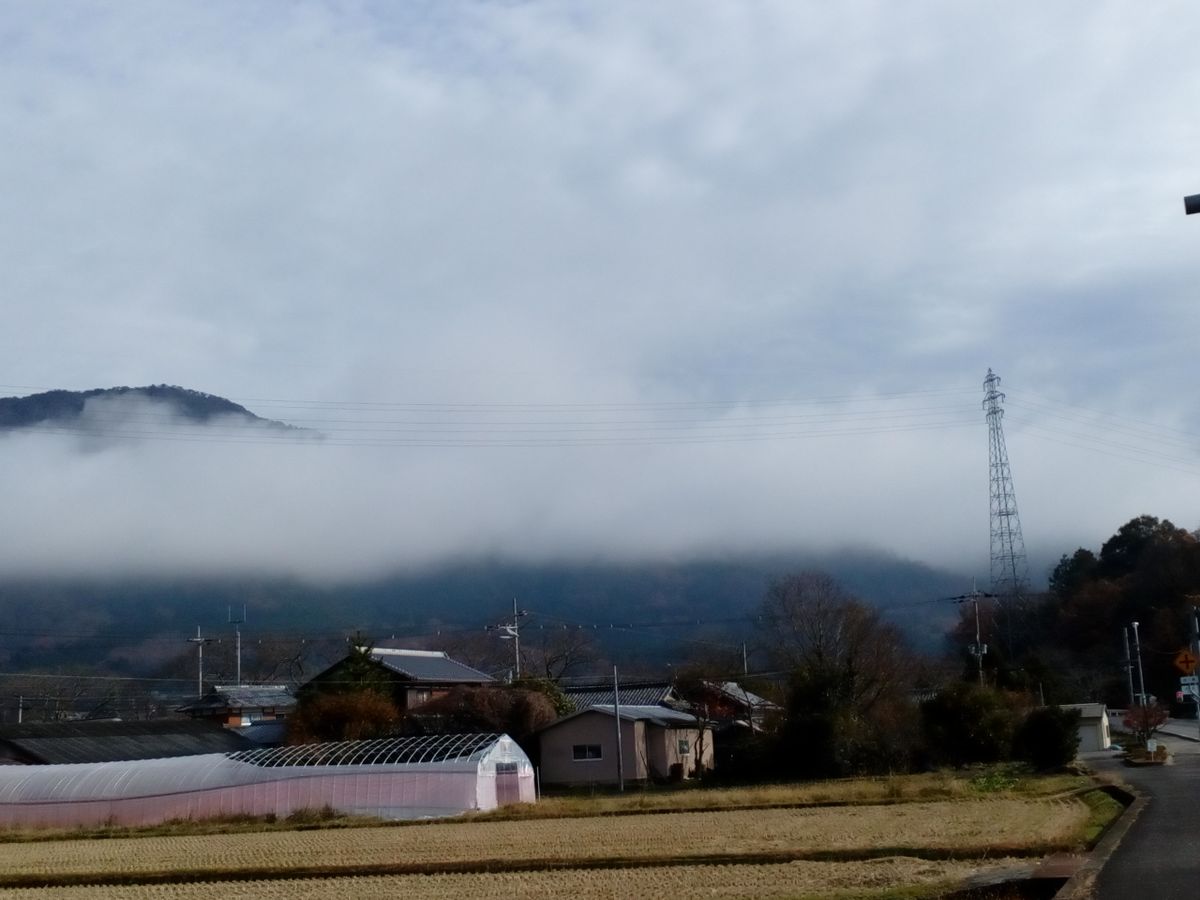 今朝の風景 山から水蒸気が♨😄  今日も皆さんに元気を届けられますように💪