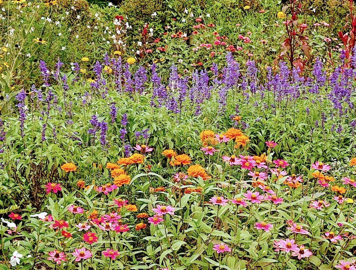 駿府城公園にて