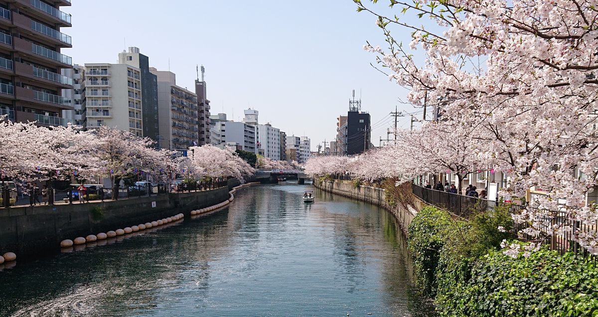 大岡川プロムナード(日ノ出町～黄金町辺り)