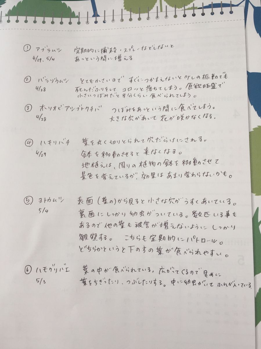 何回も繰り返して虫が狙っています。定期的なパトロール必須です。