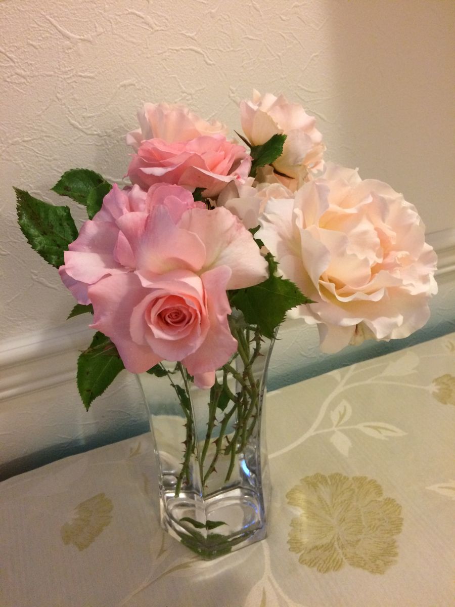 バラ ブライダルピンク フェリシア 気ままにアレンジメント バラバージョン ２０１８年５月２４日 のアルバム みんなの趣味の園芸