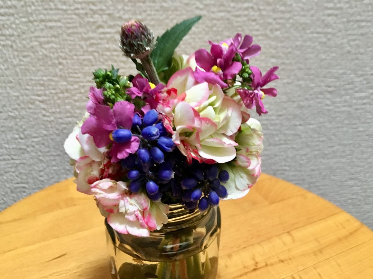 頂いたゼラニウムの花が少し痛んできたので切りました。まだ可愛いお花が咲いているの