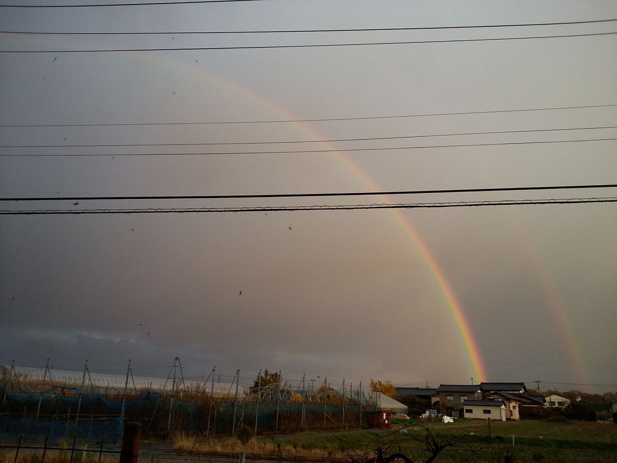 やっぱりセピア色、🌈