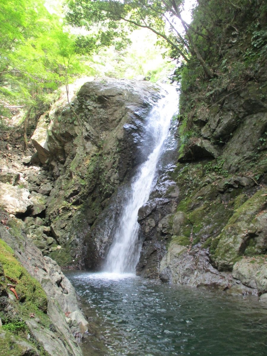 滝つぼです落ち口から高さ100メートルはあると思います愛知 県で一番大きい滝だそうで