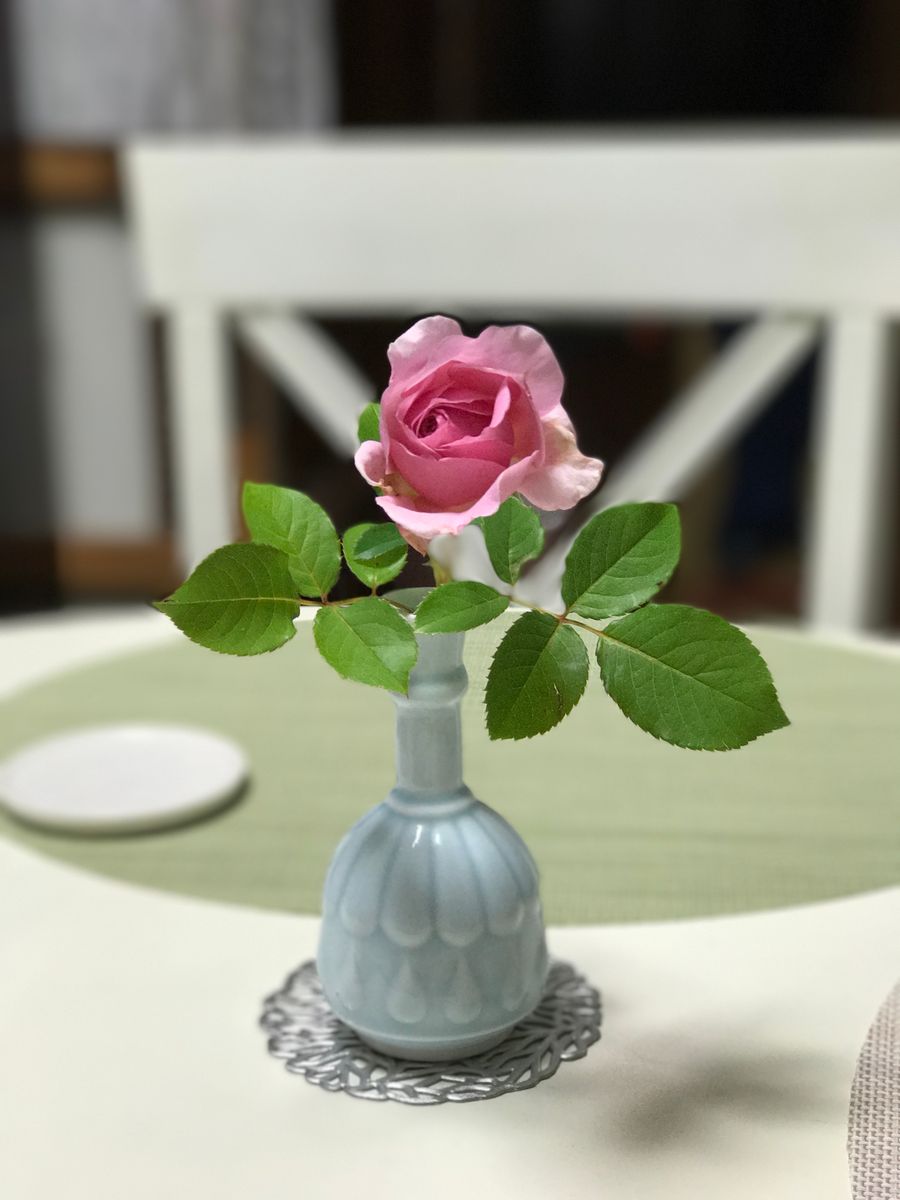 食卓に秋薔薇一輪。。。 よい香り。