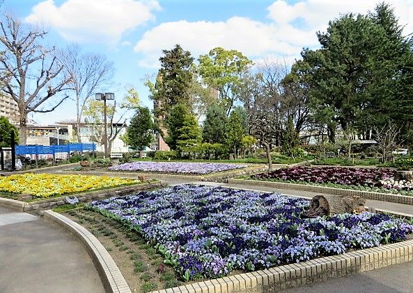 名城公園の花達