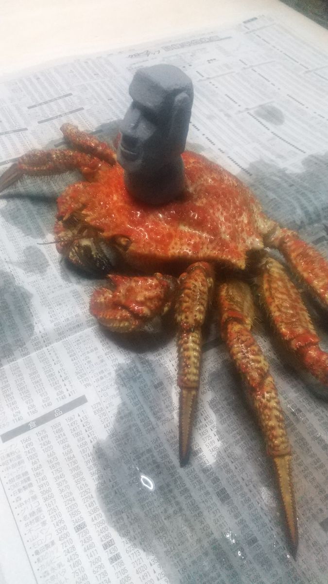 今宵もまたカニ🦀を茹でております🤤  食ベスギルト マタ ズボン 裂ケルヨ〰️🗿