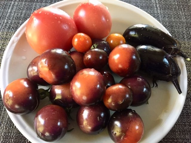 １０月１０日 今日の収穫。ナスとトマト。 今年の野菜もそろそろ終わりです。 かなり