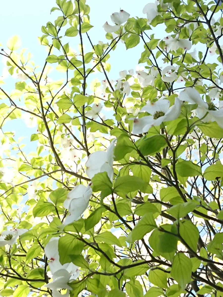 風の強い1日でしたね。