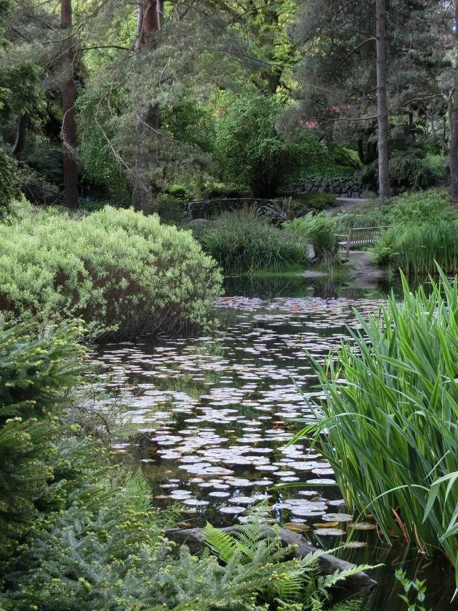 カナダ バンクーバ バンデューゼン植物公園