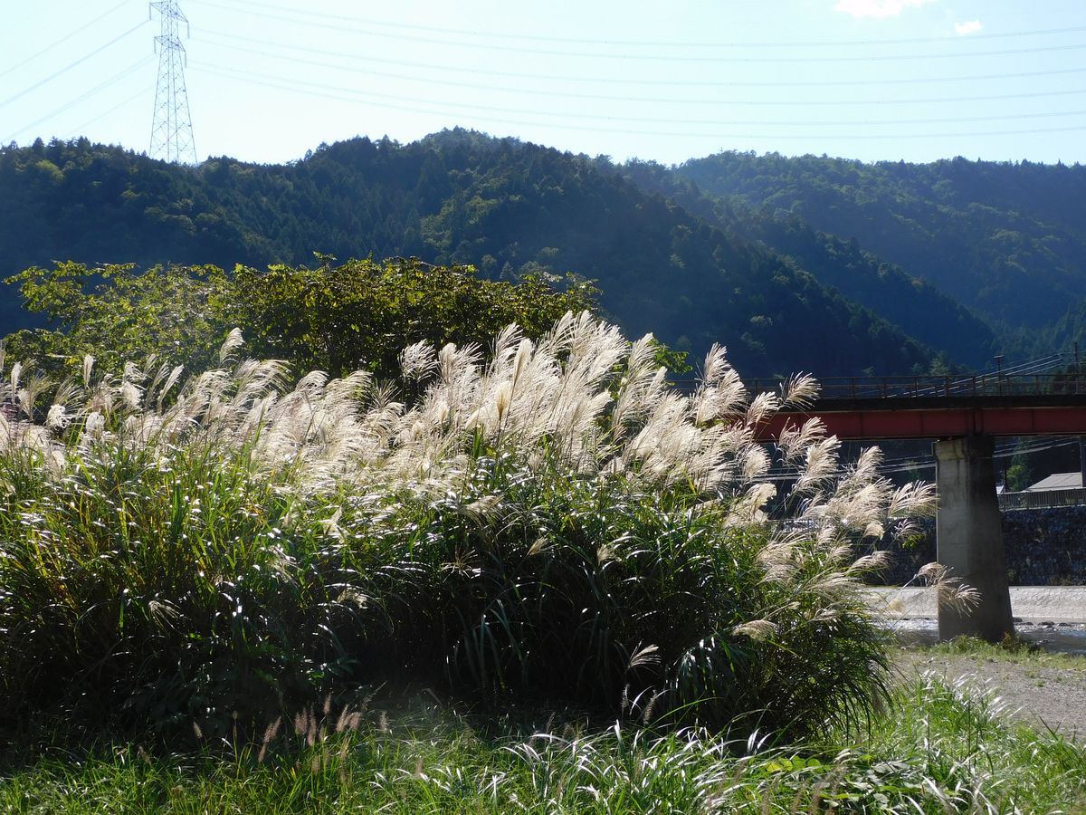 9月21日 美山