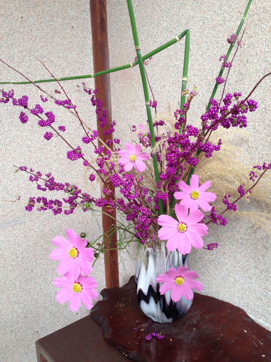 コムラサキ ススキ コスモス 四季の生け花 庭の花で綴る季節 のアルバム みんなの趣味の園芸