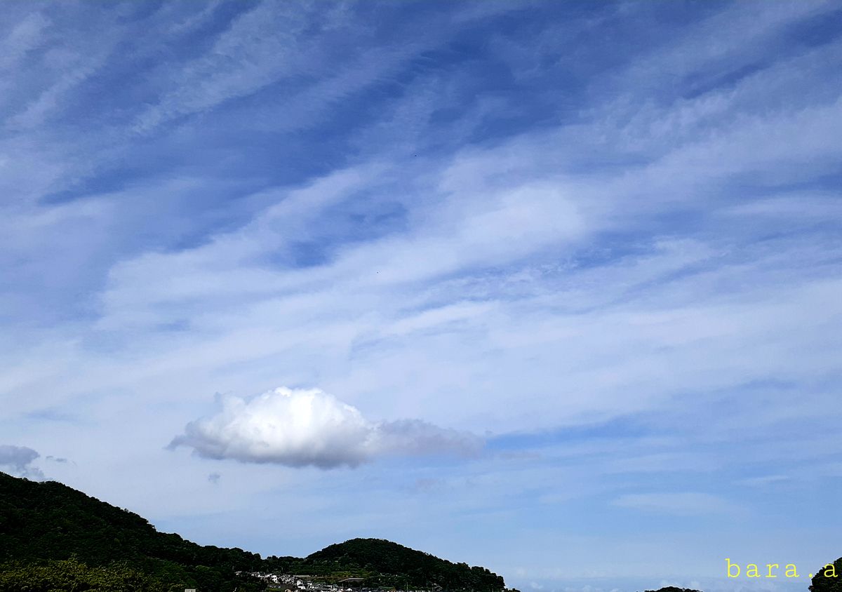 ☁️置き去りにされたような雲☁️  昨日の夜からかなりの雨風でした。 午後からは日射し