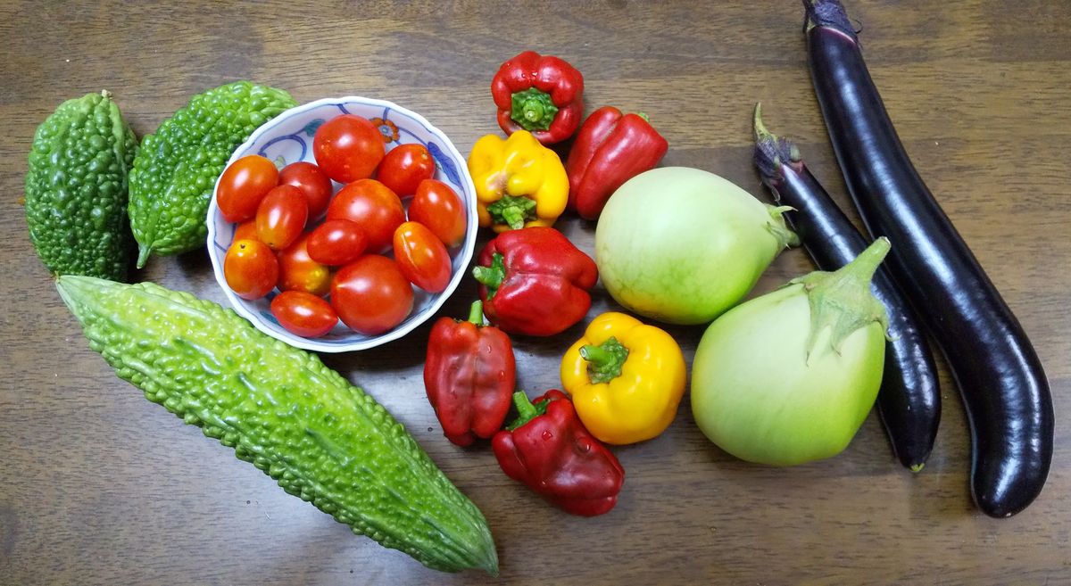 カラフル野菜です💕 ゴーヤー、トマト、パプリカ、なす～🍀