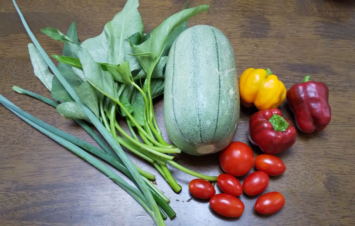 野菜瓜がビッグです～🍀 3こ目です 後2こあります。 来年はもっと沢山作ります🍀