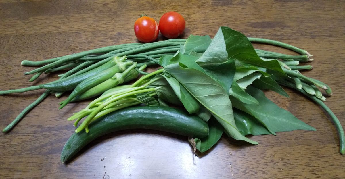 トールペイントの先生に差し上げました～🍀