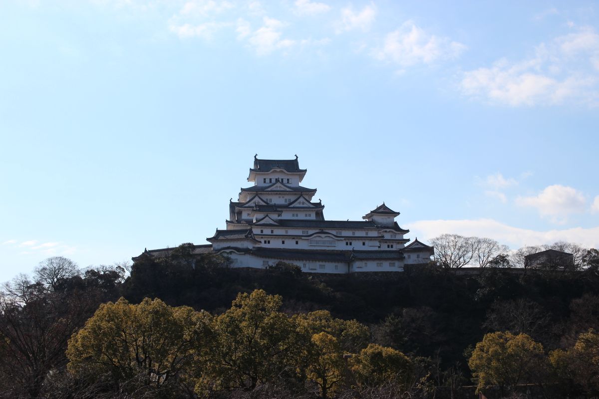 世界遺産、姫路城です。 今日は、南側から見る正面ではなく、北側（シロトピア公園）