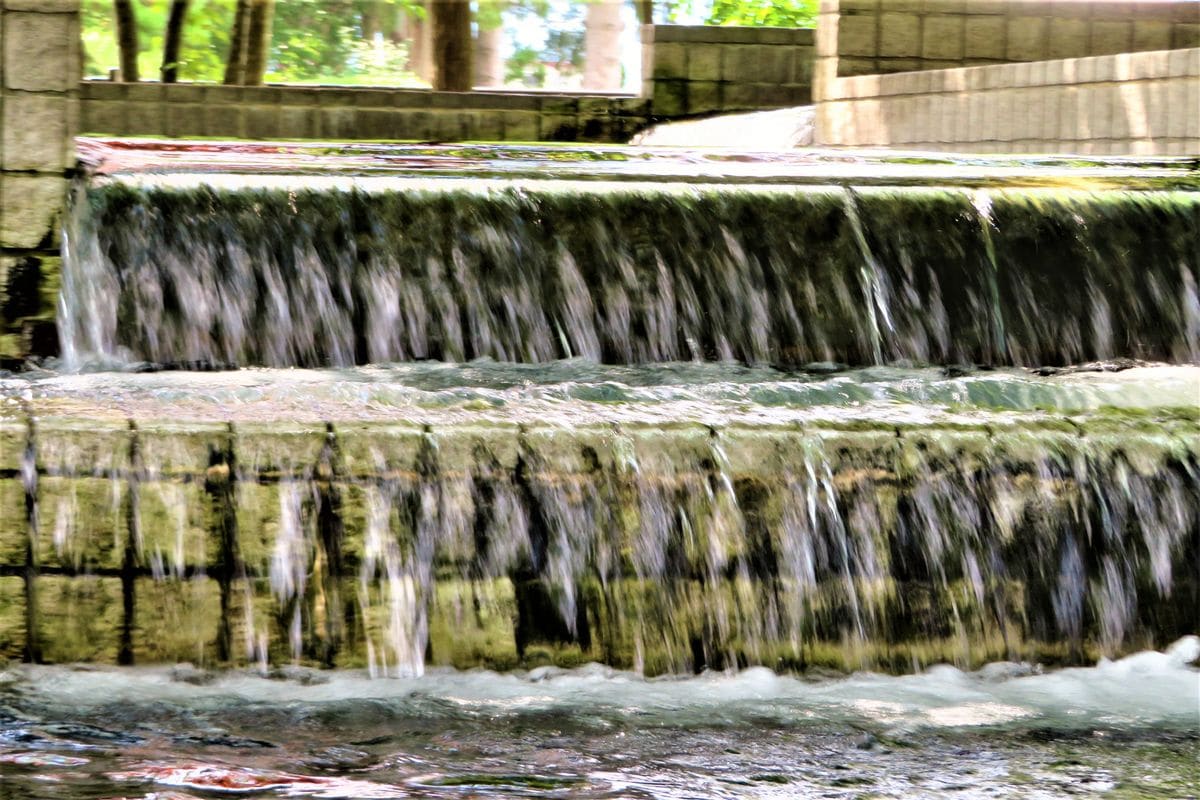 ヤマアジサイの写真 by いわて 今日の景色「２」 人工の滝です。