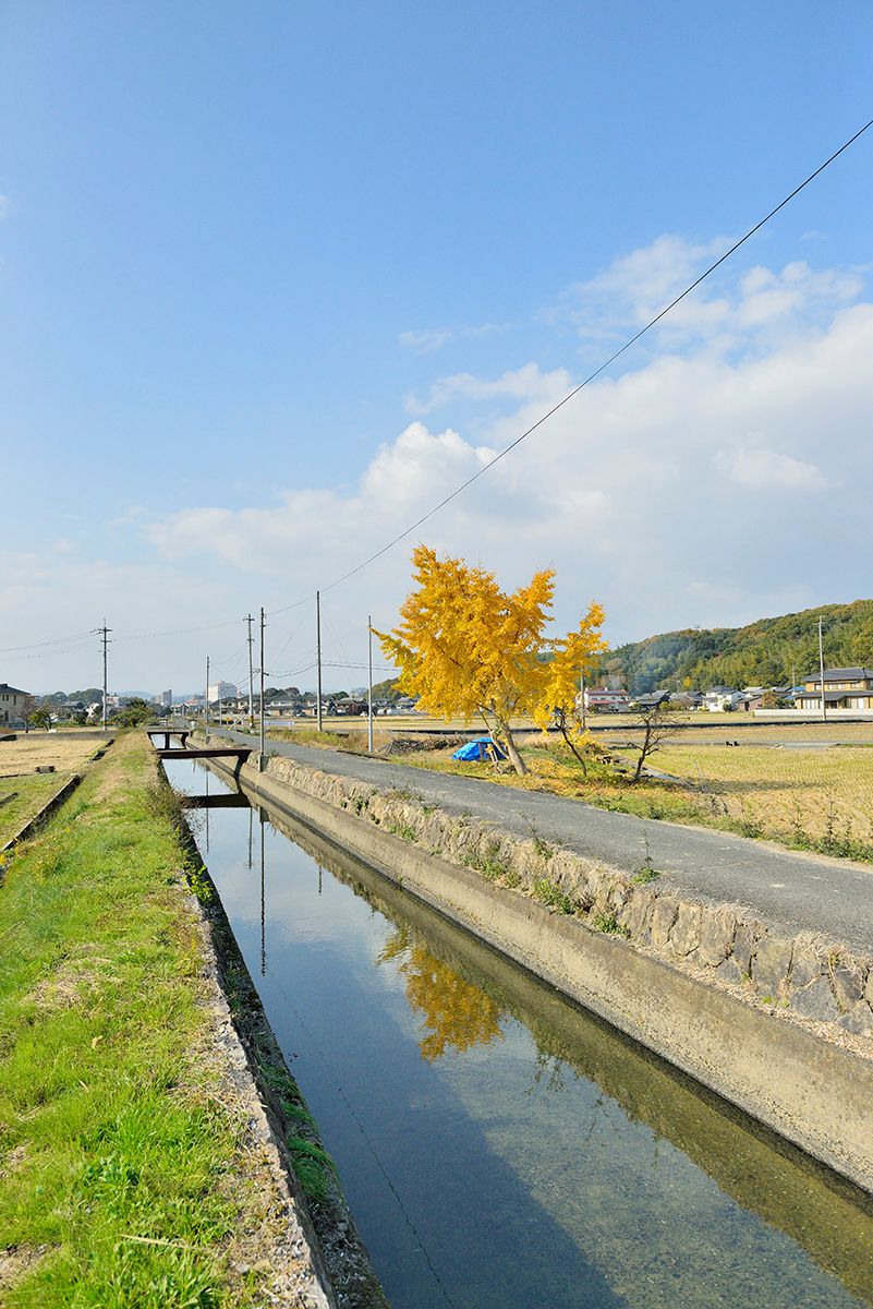 倉敷市五日市。  2021年11月20日