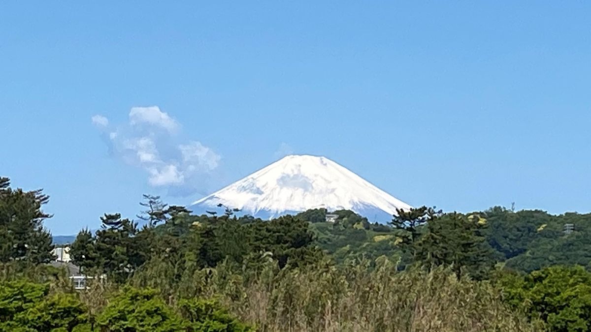 大磯海岸散策観察：富士山の眺め。2021/5/3撮影。