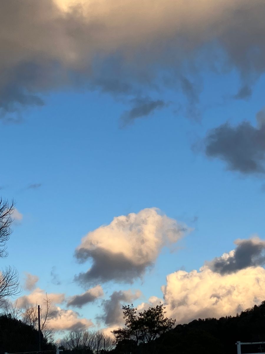 お散歩の途中 東の空 ピラニアが泳いでる〜🐡💦 みたい😆