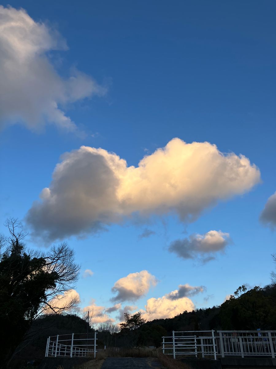 お散歩の途中 東の空 何に見える⁇