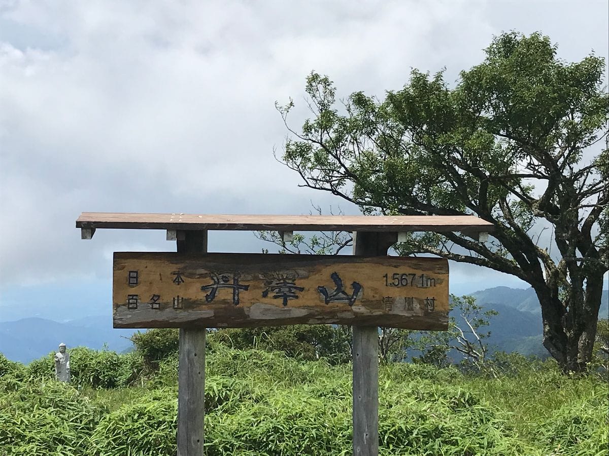 8/11に息子と丹沢山に登って来ました。生憎頂上は曇っていて富士山は見えず。残念😅
